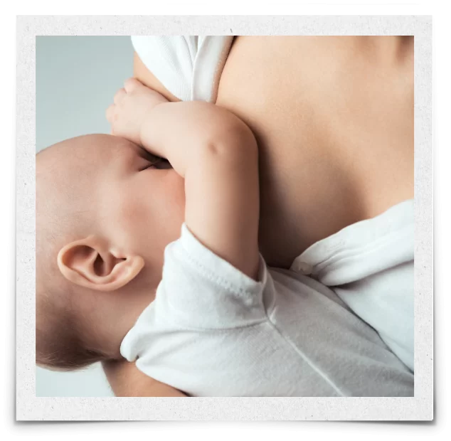 Breastfeeding Support Resources